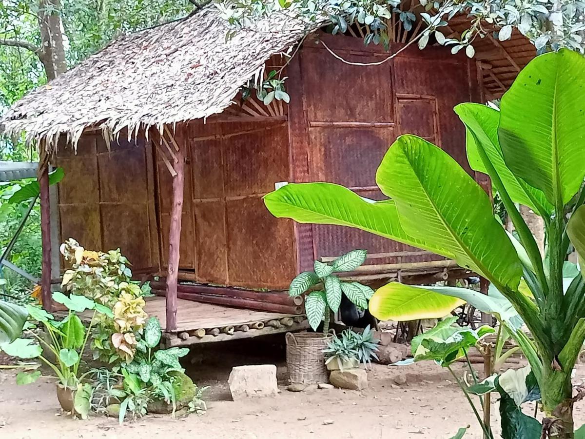 Wassana Camp & Khai Jungle Experience Ban Kraison Exterior foto