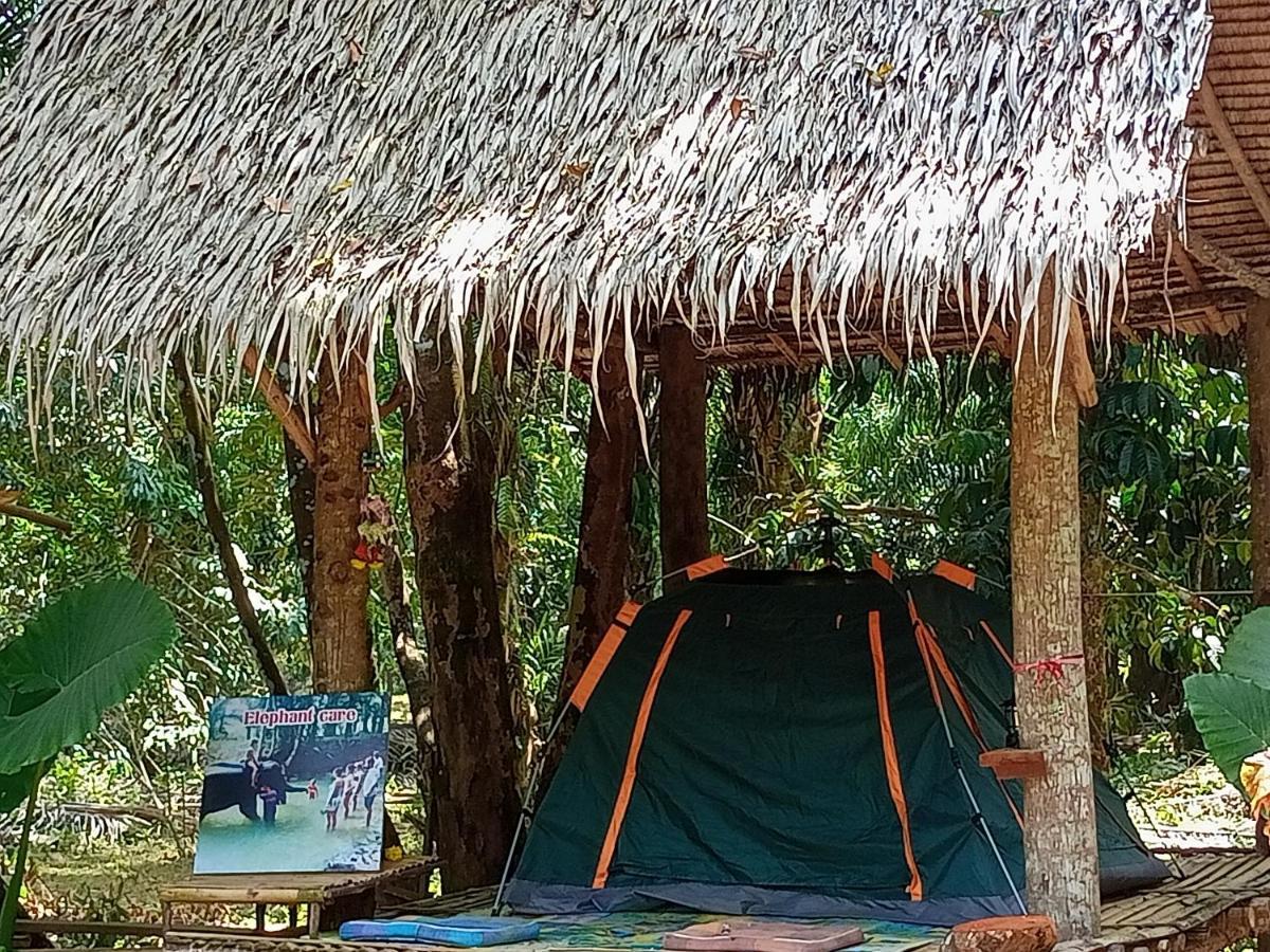 Wassana Camp & Khai Jungle Experience Ban Kraison Exterior foto